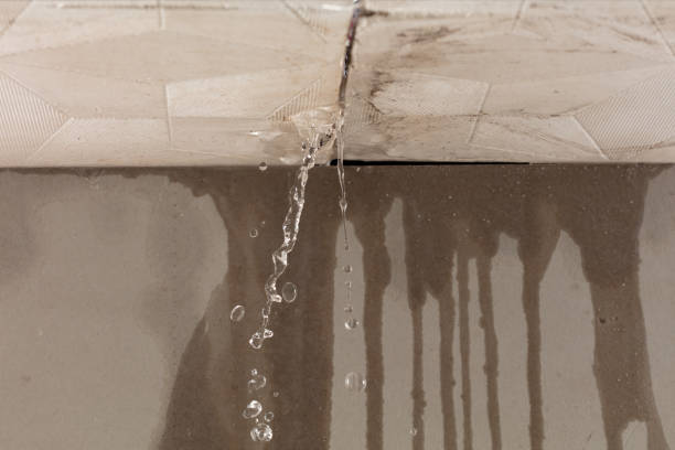 Professional Water Damage Repair technician working in Panna Maria, TX
